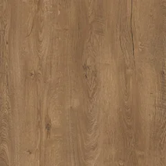 Kafkas Meşe VT 565